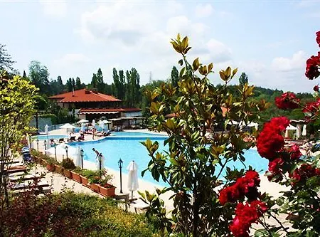 Dreambg Süzebolu