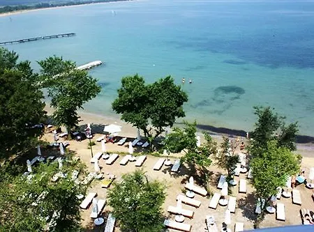 Dreambg 3*